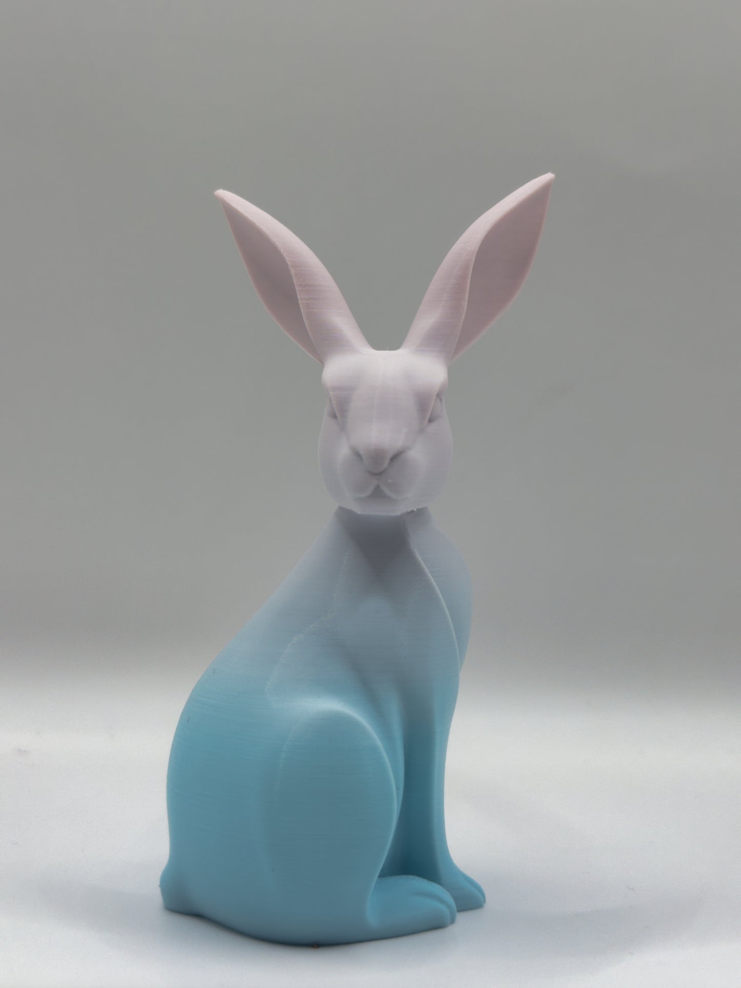 Lapin bi color