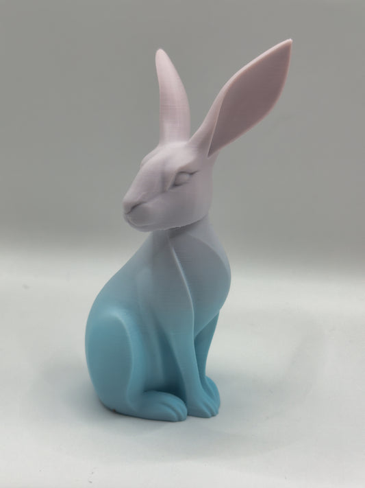Lapin bi color