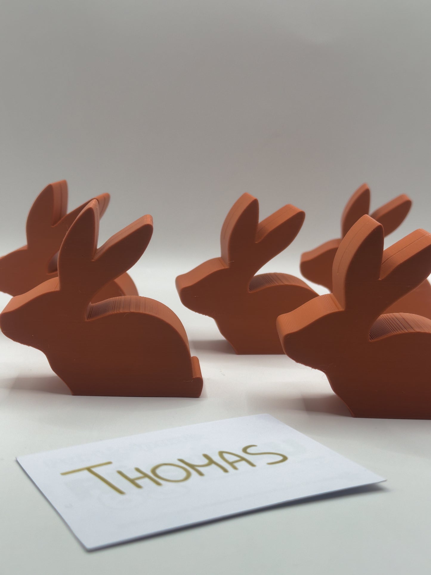 Porte prénom lapin
