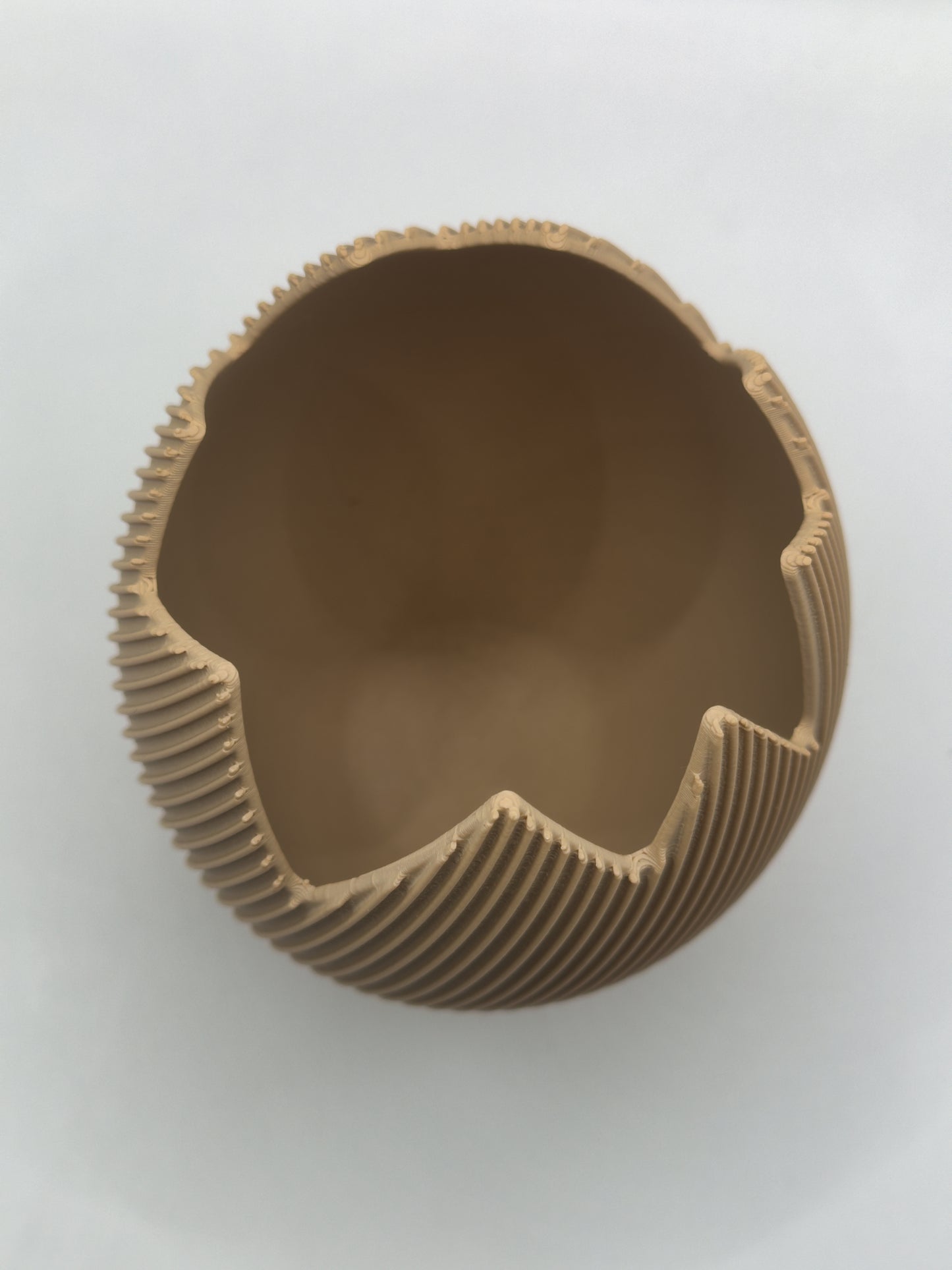 Vase Coquille d’Œuf Design